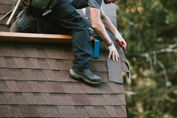 Best Roof Gutter Cleaning  in Oak Grove, LA